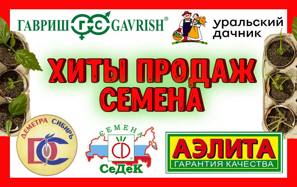 Семена. Хиты продаж!