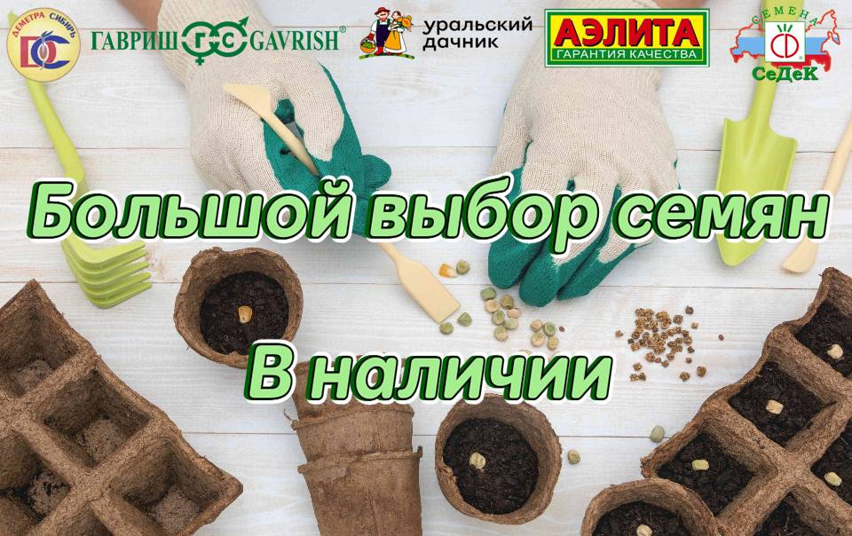 Семена! Огромный выбор от разных производителей!